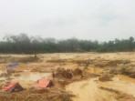 Kesaksian Anggota Koperasi di Tebo, Penambang Emas Liar Beraksi Malam Hari