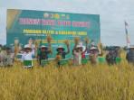 Petani Desa Singkawang Tebo Jambi Senang Hasil Panen Melimpah