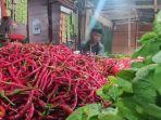 Harga-Cabai-dan-Bawang-Merah-di-Kuala-Tungkal-Melonjak.jpg