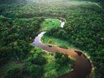 Hutan-Amazon-Dihujani-Bintang-1-Sama-Warganet-Indo-Tempat-Berbahaya-di-Dunia-Jangan-ke-Sini.jpg