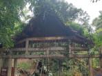 Hutan Lindung di Tebo Ilir Tak Terurus, Warga Khawatir Kayu Langka Dicuri