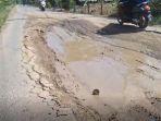 Ratusan Titik Jalan Lintas Muara Sabak-Kampung Laut Tanjabtim Rusak