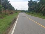Jalan Nasional di Tebo Ditambal, Pengendara Keluhkan Masih Ada Lubang
