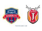 K-LEAGUE-1-Prediksi-Skor-dan-Statistik-Suwon-FC-vs-Jeju-United-di-Suwon-Sports-Complex.jpg