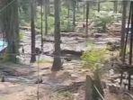 Kembali-maraknya-aktivitas-penambangan-minyak-ilegal-atau-ilegal-drilling.jpg