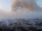Lahan-Gambut-di-Sungai-Gelam-Muaro-Jambi-Terbakar-2.jpg