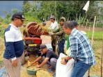 Lahan-Pertanian-Tanjabtim.jpg