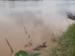 Sering Hujan, Muka Air Sungai Batanghari Jambi Ada Kenaikan