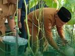 Panen-Perdana-Melon-di-Sarolangun-jambi.jpg