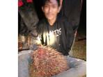 Petani-Minta-Polisi-Hukum-Seberat-beratnya.jpg
