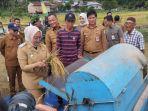 Pj-Wali-Kota-Jambi-Sri-Purwaningsih-Panen-Padi.jpg