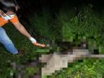 Pria-di-Merangin-jambi-Ditemukan-Meninggal-di-Kebun-Karet.jpg
