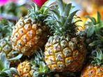 Surga-nanas-di-Jambi.jpg