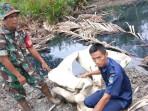 Teka-teki Tulang Besar di Muara Seberang Tanjabbar yang Disebut-sebut Tulang Dinosaurus