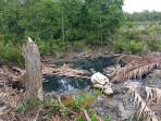 Warga Muara Seberang Tanjabbar Temukan Tulang Raksasa Sayapnya 1,5 Meter Terpendam