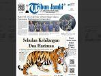 Tribun-Jambi-edisi-Kamis-12-Juni-2025-mengulas-Harimau-Sumatra.jpg