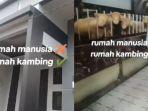 Viral-Rumah-Mewah-Dijadikan-Kandang-Kambing.jpg