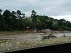 aktivitas-peti-di-hutan-produksi-tabir-barat.jpg