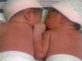 bayi-kembar-2.jpg