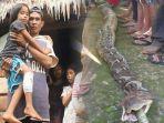 bocah-wa-selmi-7-dililit-ular-piton-7-meter-nyaris-ditelan-tapi-bisa-diselamatkan-ayahnya.jpg