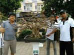 bonsai-anting-putri-seharga-rp-500-juta_20180318_154923.jpg