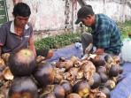 buah-lontar-jambi-26102025.jpg