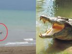 buaya-membawa-jasad-manusia_20180126_233231.jpg