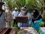 budidaya-madu-lebah-di-desa-danau-lamo-diharapkan-bupati-masnah-jadi-destinasi-wisata.jpg