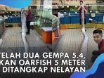 catfish-sepanjang-5-meter-ikan-raksasa.jpg