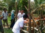 disnakkan-lakukan-ib-ke-7-sapi-di-desa-kasang-melintang-sarolangun-4-sapi-diketahui-tidak-birahi.jpg