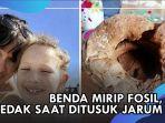 fosil-aneh-meledakk.jpg
