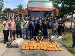 ganja-bnnp-jambi-bungo.jpg
