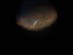 gerhana-bulan-2021-mei.jpg
