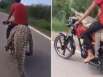 heboh-video-buaya-diangkut.jpg