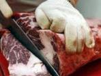 ilustrasi-daging_20150517_144508.jpg