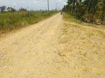 jalan-di-desa-koto-kandis-tanjabtim-masih-tanah.jpg