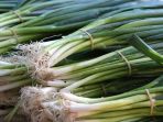 jangan-buang-bagian-bonggol-daun-bawang-bisa-ditanam-lagi-loh_20180318_110543.jpg