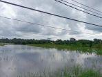 lahan-pertanian-terendam-banjir-3.jpg