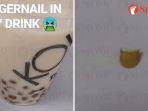 minuman-boba-menjijikkan.jpg