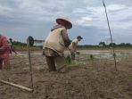 pada-tahun-ini-pemkab-batanghari-juga-melaku_20180520_101038.jpg