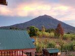 pelangi-guest-house-kerinci-2021.jpg