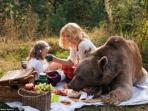 peliharaan-beruang-piknik_20151122_145258.jpg