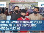 pria-di-jambi-ditangkap-polisi-temukan-buaya-sinyulong-hingga-kukang.jpg