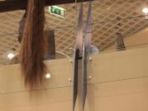 rambut-panjang_20170329_114403.jpg