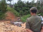 saluran-limbah-pt-jambi-wood-industri.jpg