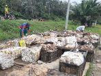 sejumlah-petani-karet-meletakkan-karetnya-di-pasar.jpg