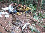 selama-5-jam-ular-piton-6-meter-yang-gegerkan-dusun-rantau-pandan-akhirnya-berhasil-dievakuasi.jpg