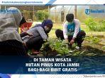taman-wisata-hutan-pinus-kota-jambi-bagi-bagi-bibit-gratis.jpg