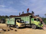 tandan-kelapa-sawit_20180701_124102.jpg
