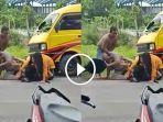 tangkapan-layar-video-perkelahian-dua-pria-di-tepi-jalan-raya-desa-metatu.jpg